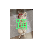 むぎさんといっしょ②（個別スタンプ：2）