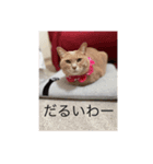 むぎさんといっしょ②（個別スタンプ：7）