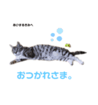 りつより あいするきみへ（個別スタンプ：1）