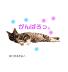 りつより あいするきみへ（個別スタンプ：3）