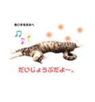 りつより あいするきみへ（個別スタンプ：4）