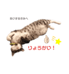 りつより あいするきみへ（個別スタンプ：5）
