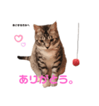 りつより あいするきみへ（個別スタンプ：7）