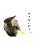 トラちとクーち（個別スタンプ：2）