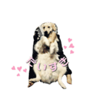 レオです♪（個別スタンプ：10）