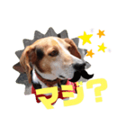 うしおのリアクションスタンプ（個別スタンプ：3）