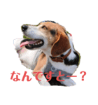 うしおのリアクションスタンプ（個別スタンプ：6）