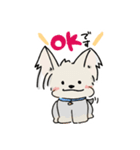 ヨーキーしょこちゃん（個別スタンプ：1）