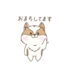 地味猫とおしゃんてぃー犬(敬語)（個別スタンプ：19）