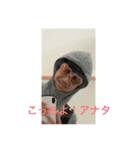 私の彼女はゆうゆだった（個別スタンプ：4）