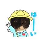 チロ＆ガブ（個別スタンプ：21）