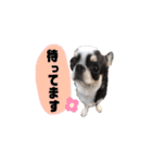 スムチのChloeちゃん（個別スタンプ：5）