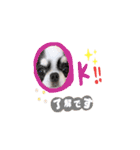スムチのChloeちゃん（個別スタンプ：8）