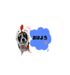 スムチのChloeちゃん（個別スタンプ：9）