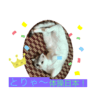 にゃんこスタンプにゃん☆☆（個別スタンプ：3）