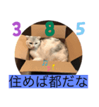 にゃんこスタンプにゃん☆☆（個別スタンプ：4）