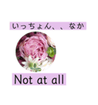 英語と佐賀弁と薔薇と緑（個別スタンプ：6）