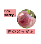 英語と佐賀弁と薔薇と緑（個別スタンプ：7）