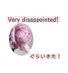 英語と佐賀弁と薔薇と緑（個別スタンプ：9）