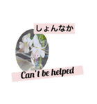 英語と佐賀弁と薔薇と緑（個別スタンプ：10）
