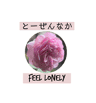 英語と佐賀弁と薔薇と緑（個別スタンプ：16）