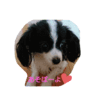 今日も楽しく行こう（個別スタンプ：6）