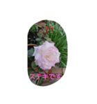今日も楽しく行こう（個別スタンプ：7）