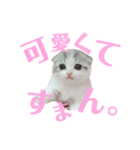 らぶりーまあやスタンプ（個別スタンプ：4）