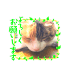 モカしか勝たん〜2021〜（個別スタンプ：7）