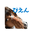 いるもあ2（個別スタンプ：24）