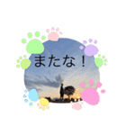 部活のメンバースタンプ（個別スタンプ：4）