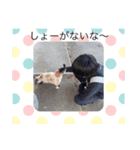 部活のメンバースタンプ（個別スタンプ：5）