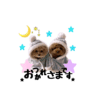 ぷまちゃんスタンプ（個別スタンプ：7）