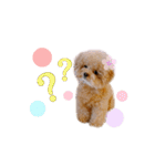 ぷまちゃんスタンプ（個別スタンプ：17）