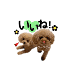 ぷまちゃんスタンプ（個別スタンプ：35）