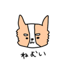 やる気のないチワワ（個別スタンプ：3）