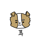 やる気のないチワワ（個別スタンプ：13）