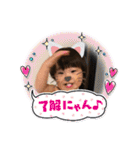さんにんはなかよし（個別スタンプ：37）