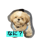 蓮チャマの気持ち たっぷり（個別スタンプ：2）