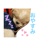 蓮チャマの気持ち たっぷり（個別スタンプ：7）
