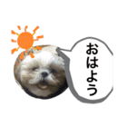 蓮チャマの気持ち たっぷり（個別スタンプ：9）
