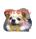 蓮チャマの気持ち たっぷり（個別スタンプ：10）