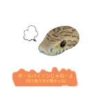 キャロちゃんと仲間達3（個別スタンプ：1）