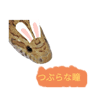 キャロちゃんと仲間達3（個別スタンプ：2）