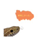 キャロちゃんと仲間達3（個別スタンプ：3）