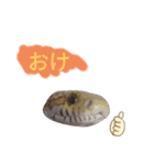 キャロちゃんと仲間達3（個別スタンプ：4）