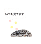 キャロちゃんと仲間達3（個別スタンプ：9）