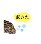 キャロちゃんと仲間達3（個別スタンプ：10）
