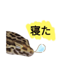 キャロちゃんと仲間達3（個別スタンプ：11）