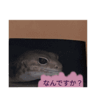 キャロちゃんと仲間達3（個別スタンプ：13）